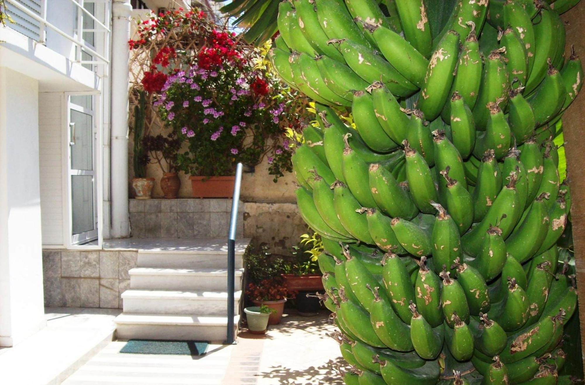 Diana Rooms Chania  Exterior foto